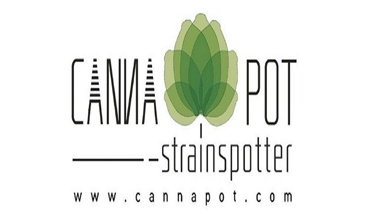 481994211_4107018556222780_8360620288525173372_n 1000+ 1600.jpg